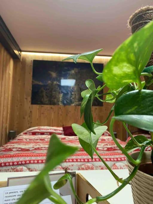 Residenze Vezza - La Corteccia- Appartement Vezza dʼOglio Buitenkant foto