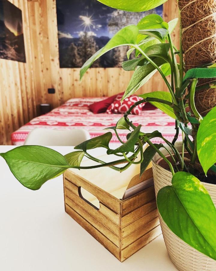 Residenze Vezza - La Corteccia- Appartement Vezza dʼOglio Buitenkant foto